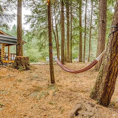 Best Log Cabin Brightwood Dış mekan fotoğraf